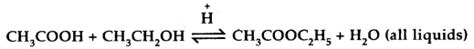 Equilibrium Class 11 Important Extra Questions Chemistry Chapter 7 ...