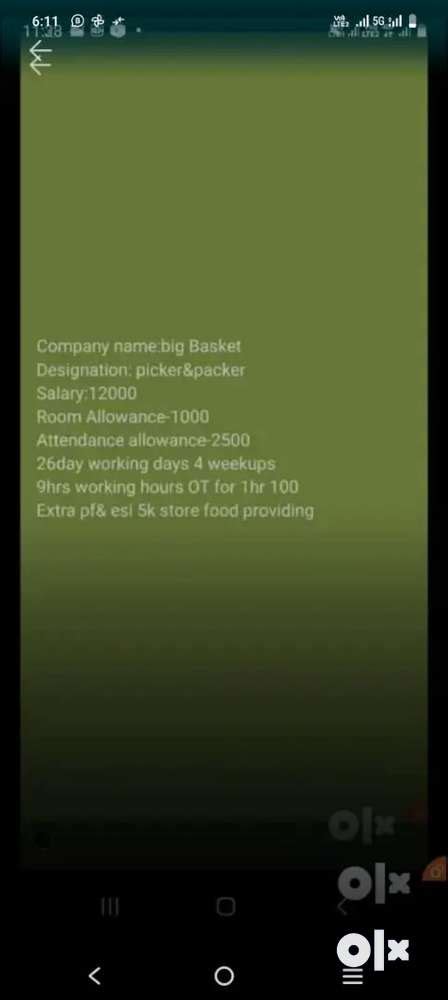 Big basket(packer& picker) hafeezpet hyd - Sales & Marketing - 1783920944