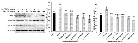 Fucoidan from Laminaria japonica Inhibits Expression of GLUT9 and URAT1 ...