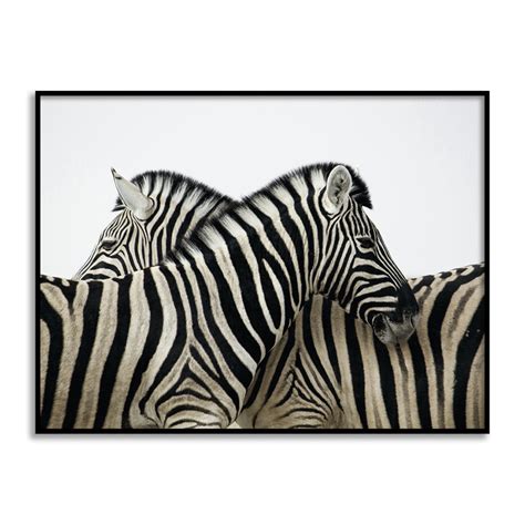 Buy Studio Artemist Zebras Wall Art Print Black n white Abstract Canvas ...