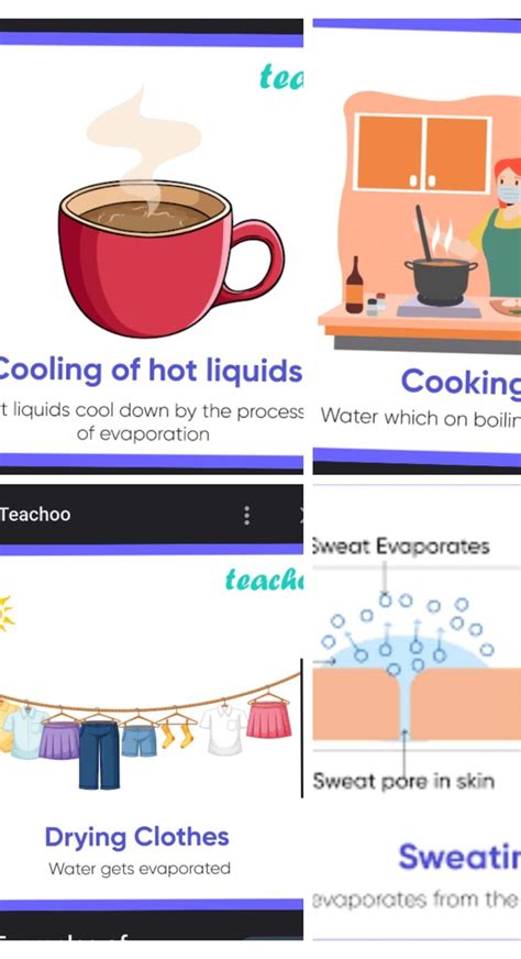 Examples Of Evaporation In Daily Life
