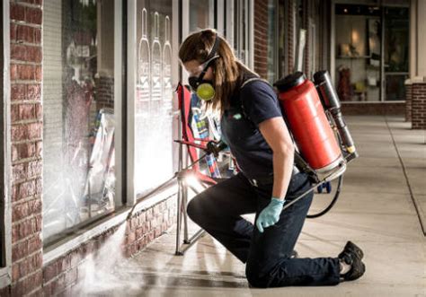 Pest Control Lancaster 的图像结果