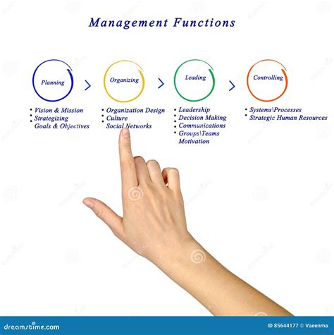 Image result for Basic Management Function Diagram