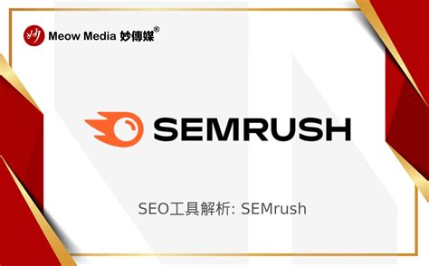 SEMrush Search Tool 的图像结果