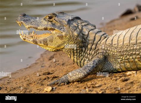 Image result for Example of Information Processing