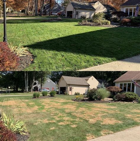 Sunday Lawn Care Review - Must Read This Before Buying
