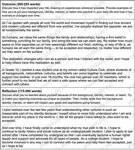 Image result for Common Application Essay Examples