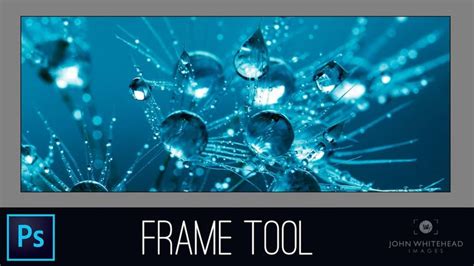 Image result for Adobe Frame Tool