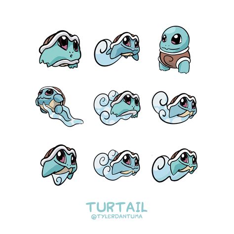 Squirtle Evolution Chart