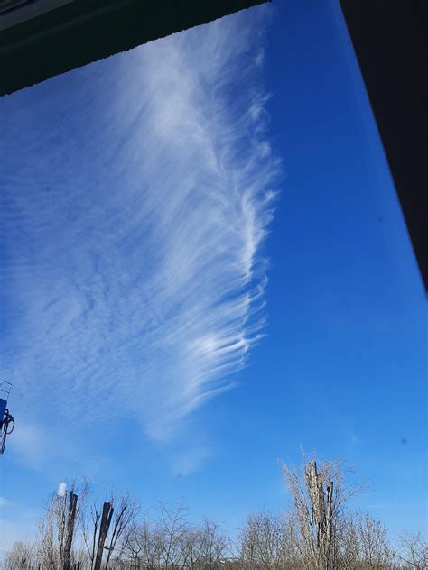 Looks like a Feather...what kind of cloud is this? : r/CLOUDS