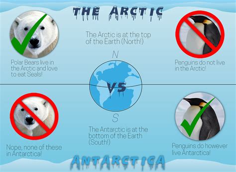 The Antarctic Population Who Lives In Antarctica