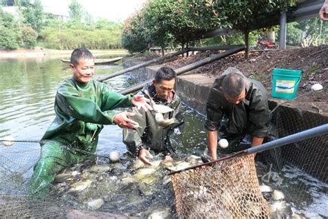 追忆泸州川江上的打鱼人，在上岸之前，他们的生活是这样 -6park.com