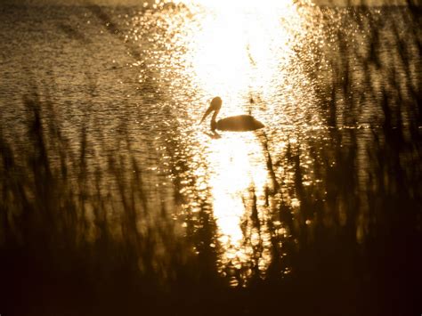 Escape To Oakwood Lakes: Where South Dakota's Beauty Unfolds