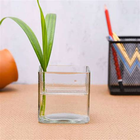 Buy 2.5 inch (6 cm) Square Glass Vase online from Nurserylive at lowest ...
