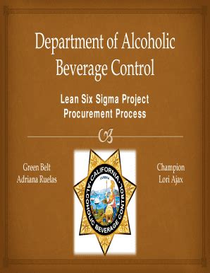 Fillable Online Lean Six Sigma Project Fax Email Print - pdfFiller