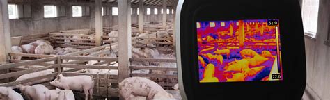 Courses | Veterinary public health | MPH | Mizzou | Missouri Online