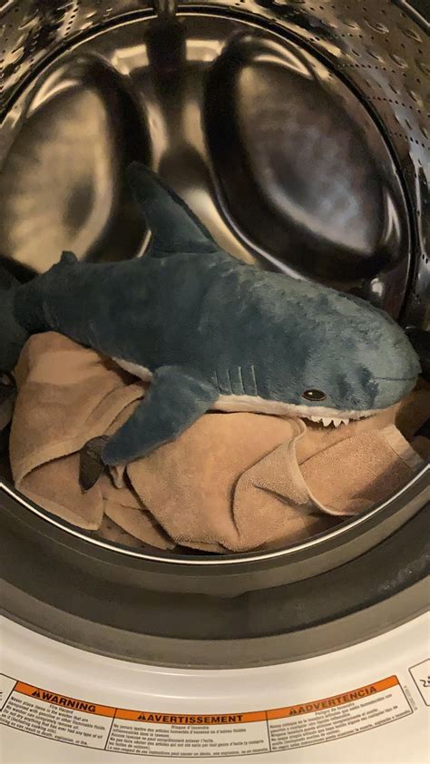 Image result for Blahaj Washing Machine