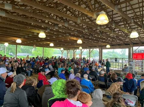 Livestock Auction - Support the youth of Montcalm County Fair, Montcalm ...