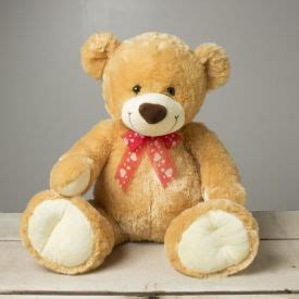 Send Teddy Bear to India, Teddy Bear Delivery online - onlinedelivery.in