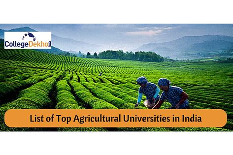 ICAR Ranking of Agricultural Universities 2023: Check 2022, 2021, 2020 ...