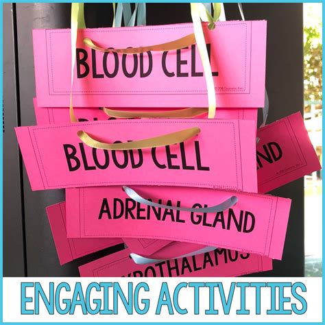 Fun Stress Management Activity 的图像结果