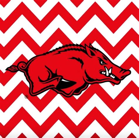 [100+] Arkansas Razorbacks Wallpapers | Wallpapers.com