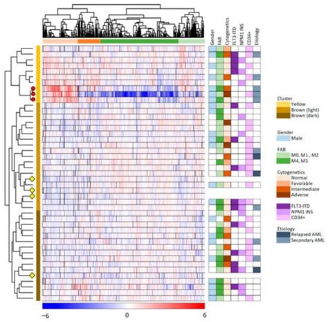 Patient Heterogeneity in Acute Myeloid Leukemia: Leukemic Cell ...