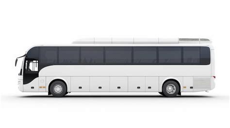 Image result for Tui Bus Liver Side View