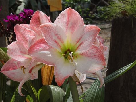 SUMPA TRIP (2025) All You Need to Know BEFORE You Go (with Photos ...