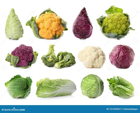Set with Different Types of Cabbage Stock Image - Image of green ...