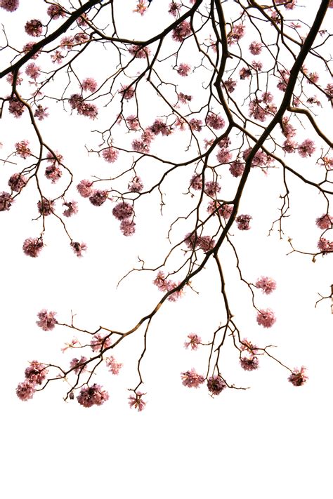 Techy Background 的图像结果