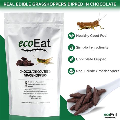 Chocolate Covered Grasshoppers