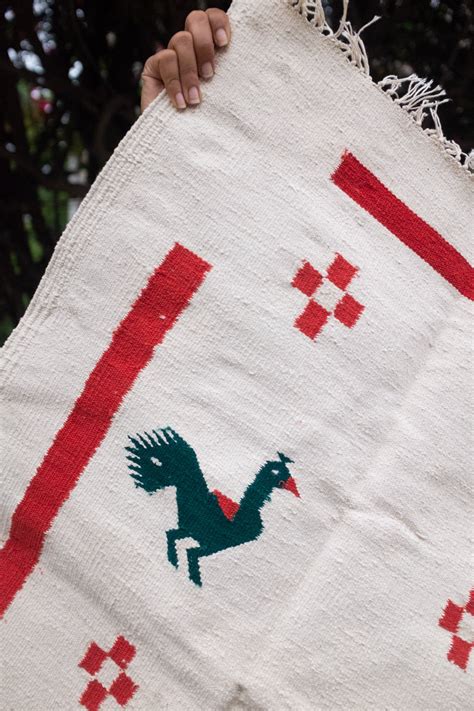 GRID OF PEACOCKS – NO BORDERS SHOP
