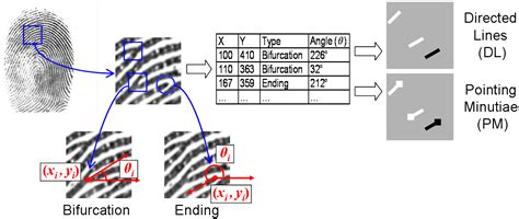 Privacy-Friendly Datasets of Synthetic Fingerprints for Evaluation of ...