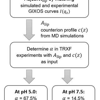 Image result for All-Atom Molecular Dynamic