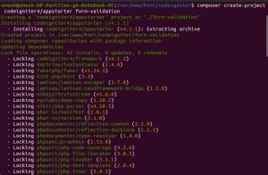 Form Validation in CodeIgniter 4 的图像结果