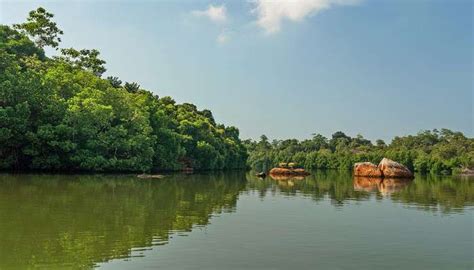 Koggala Lake And Get Ultimate Guide To Adventure Activities In 2026