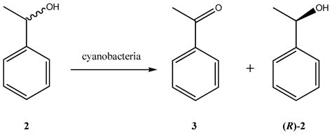 Biotransformations with Photobiocatalysts for Enantioselective Ester ...