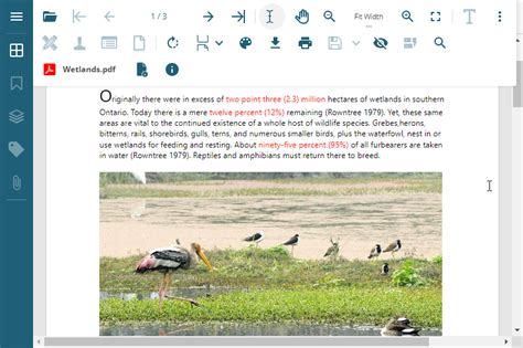 Image result for PDF File Format View