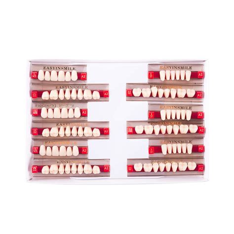 Easyinsmile Dental Synthetic Resin Teeth Acrylic Denture False Tooth ...