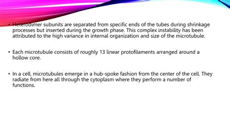 Image result for Cytoskeleton Structure