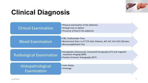 Liver Cancer: Epidemiology, Etiology, Prognosis and Treatment. | PPTX