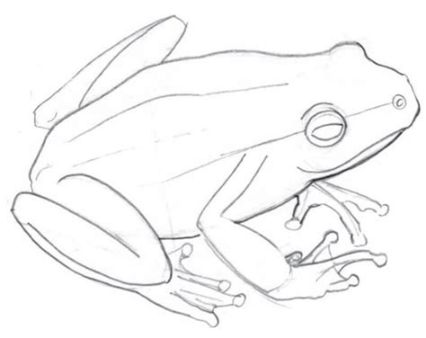 Image result for Easy Frog Drawing Tutorial