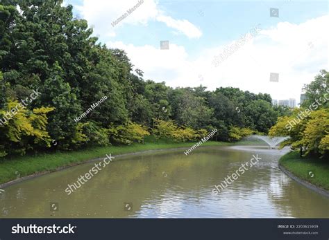 Photo 的图像结果