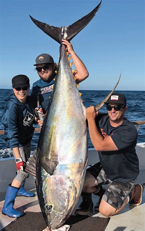 Yellowfin Tuna Images