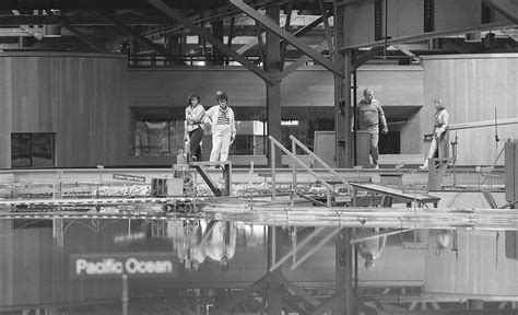 Image result for SF Bay Modeling