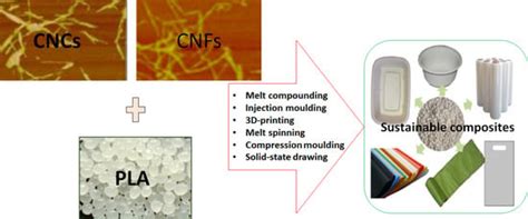 Thermoplastic Processing of PLA/Cellulose Nanomaterials Composites