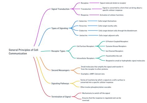 Cell Communication Concept Map 的图像结果