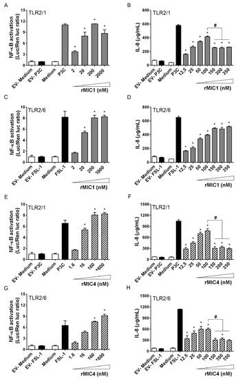 Receptor Heterodimerization and Co-Receptor Engagement in TLR2 ...