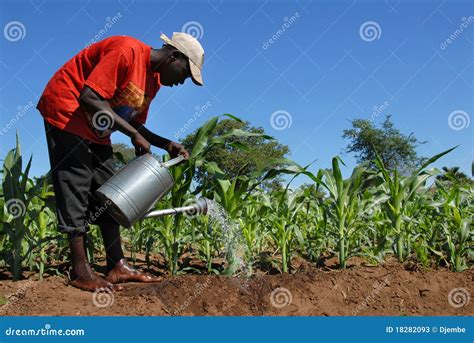 African Agriculture 的图像结果